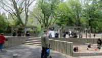 East 72nd Street Playground, New York, NY