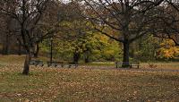 Fresh Meadows Park, New York, NY