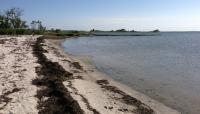 Assateague State Park, Berlin, MD