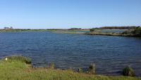 Assateague State Park, Berlin, MD