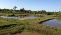 Assateague State Park, Berlin, MD