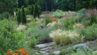 Photo by Lisa Roper courtesy Chanticleer Gardens::2011::The Cultural Landscape Foundation