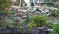 Photo by Lisa Roper courtesy Chanticleer Gardens::2012::The Cultural Landscape Foundation