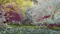 Photo by Lisa Roper courtesy Chanticleer Gardens::2013::The Cultural Landscape Foundation