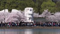 Martin Luther King, Jr. Memorial, Washington, D.C.  