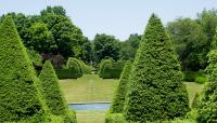 Ladew Topiary Gardens, Monkton, MD