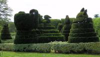 Ladew Topiary Gardens, Monkton, MD