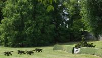 Ladew Topiary Gardens, Monkton, MD