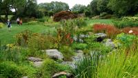 Ladew Topiary Gardens, Monkton, MD