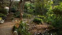 Mildred E. Mathias Botanical Garden, Los Angeles, CA 