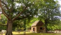 Meadow Farm, Glen Allen, VA