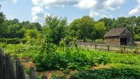 Meadow Farm, Glen Allen, VA