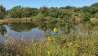 Peckerwood Garden, Hempstead, TX