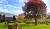 Carolyn's Sakonnet Vineyard, Little Compton, RI