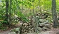 Weetamoo Woods and Pardon Gray Preserve, Tiverton, RI