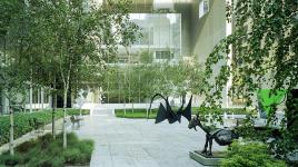 Abby Aldrich Rockefeller Sculpture Garden The Cultural Landscape