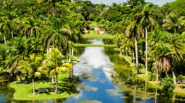 Fairchild Tropical Botanic Garden The Cultural Landscape Foundation