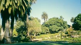 Alice Keck Park Memorial Gardens The Cultural Landscape Foundation
