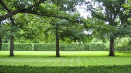 Miller Garden The Cultural Landscape Foundation