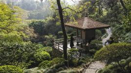 Hannah Carter Japanese Garden The Cultural Landscape Foundation