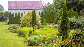 Donnell Garden | The Cultural Landscape Foundation