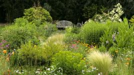 Blithewold Mansion Gardens Arboretum The Cultural Landscape