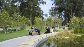 John Mclaren The Cultural Landscape Foundation