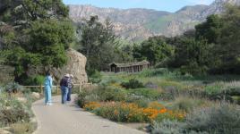 Santa Barbara Botanic Garden The Cultural Landscape Foundation