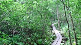 Appalachian Trail, Harpers Ferry, WV