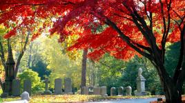 Mount Auburn Cemetery, Cambridge, MA