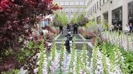 Rockefeller Center Rooftop Gardens | The Cultural Landscape Foundation