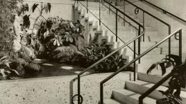 Bullock's Wilshire, stairwell atrium planting, 1952. Photograph by Douglas M. Simmonds.