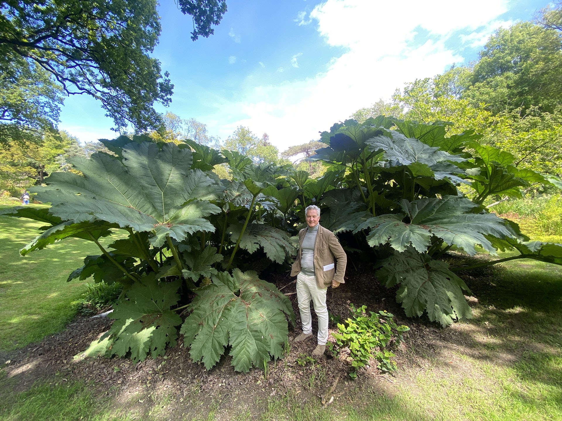 Man standing in front of large plant 