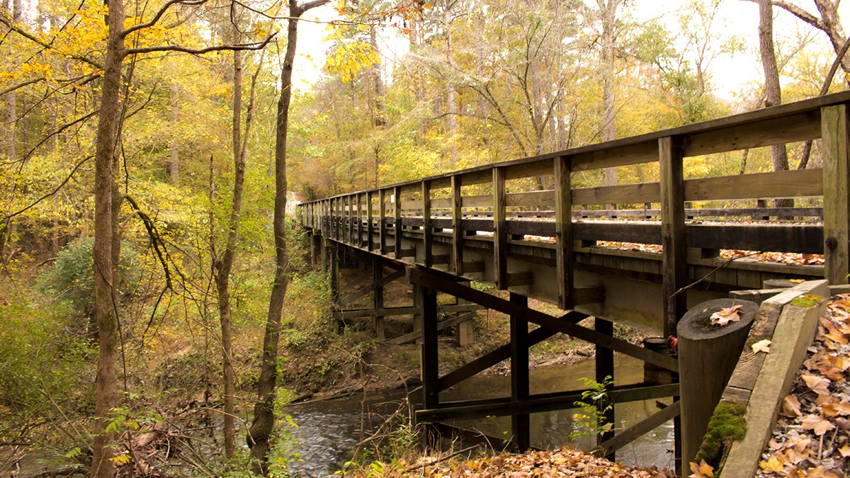 William B. Umstead State Park | TCLF