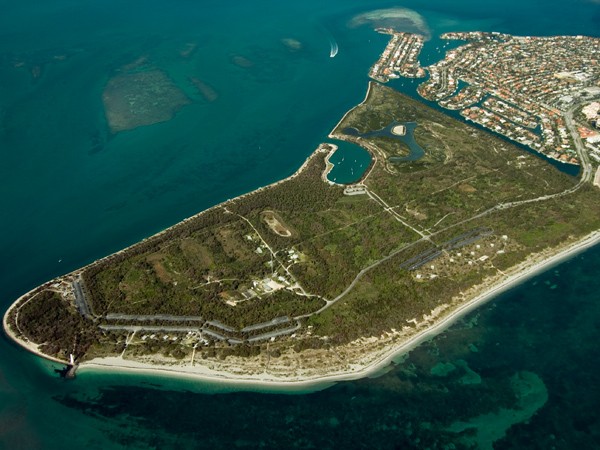 Sargassum knocks Bill Baggs and other Florida spots from 'best beach' list  - Key Biscayne Independent