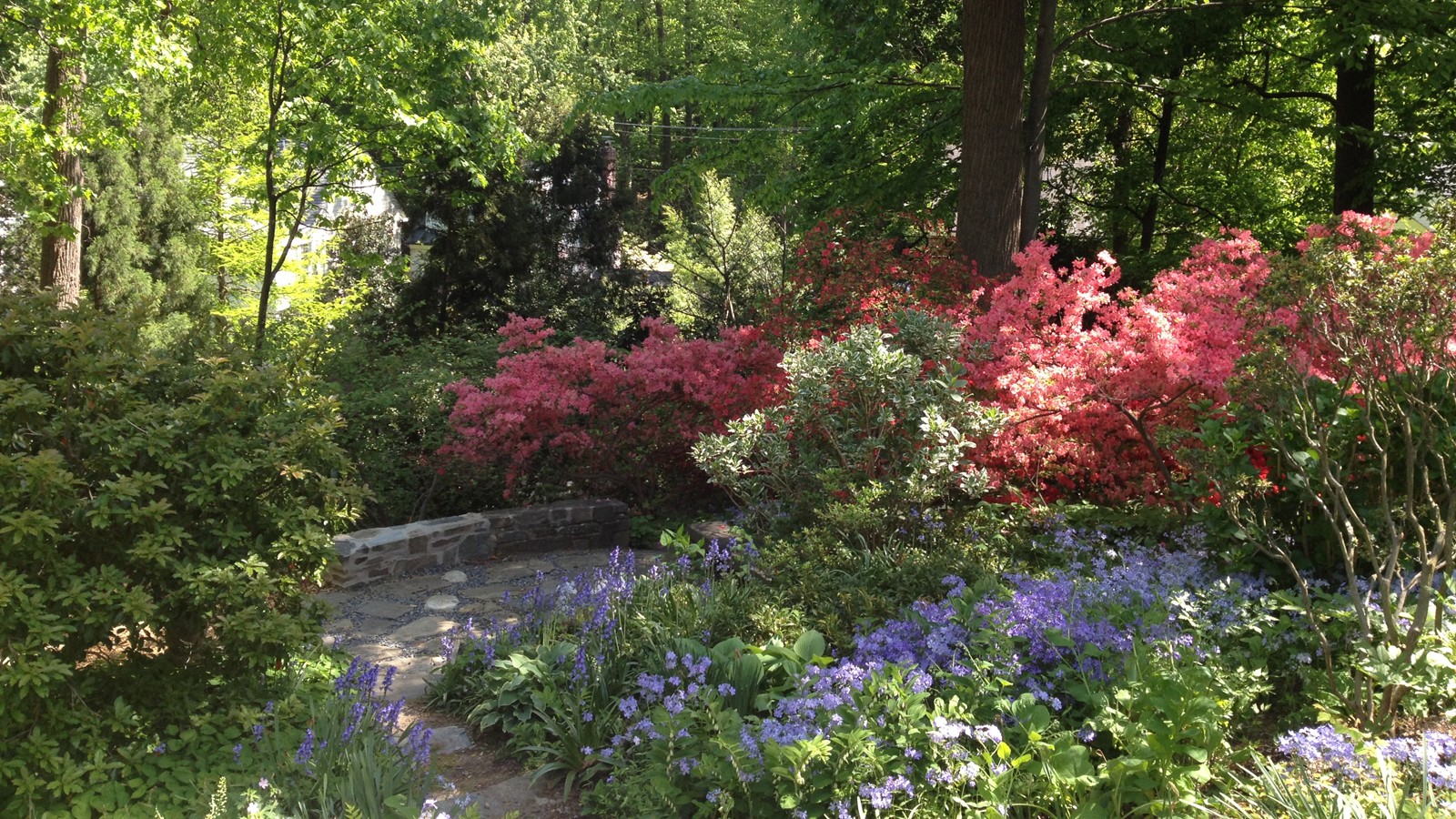 The Boasberg garden in May
