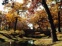 Deering Oaks in Autumn