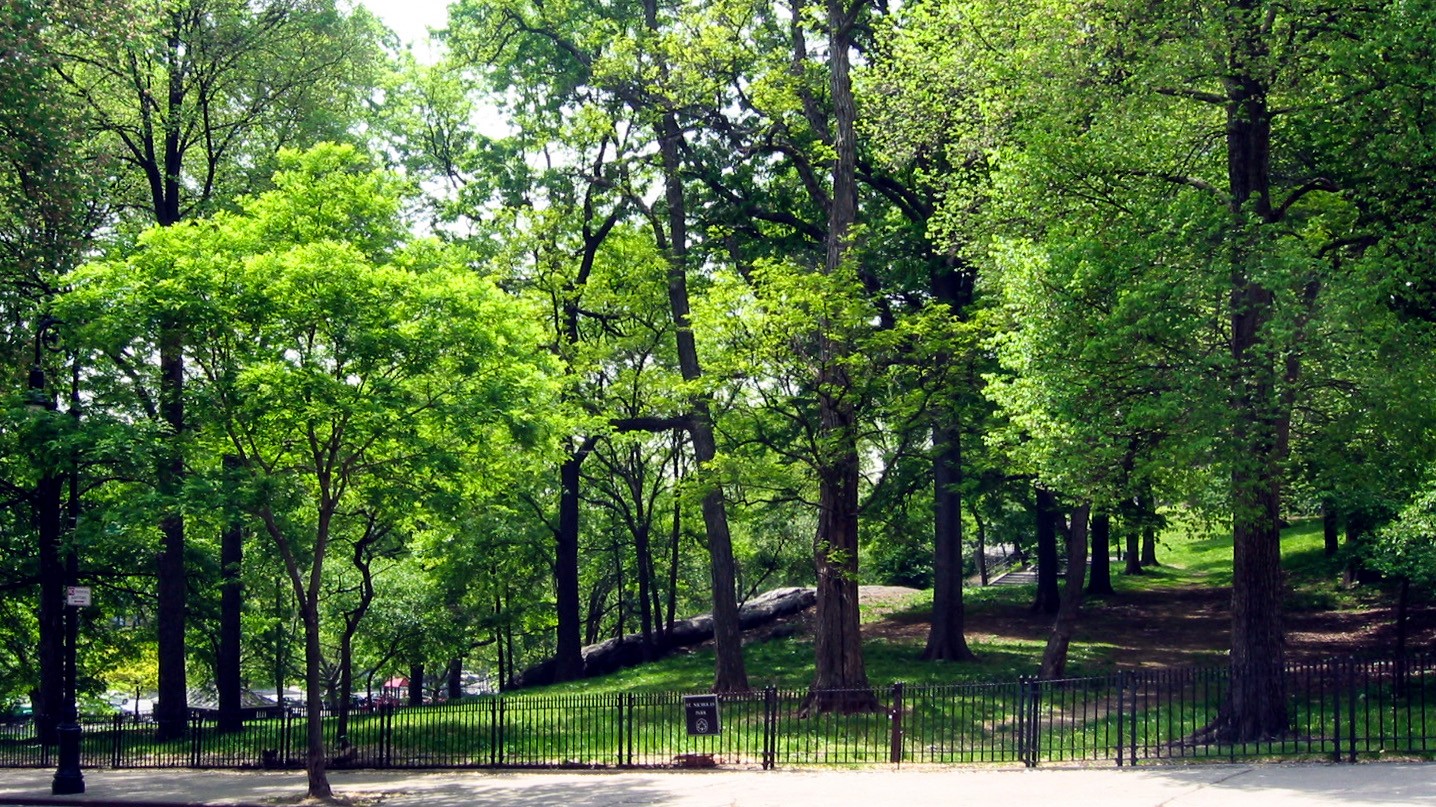 St. Nicholas Park | TCLF