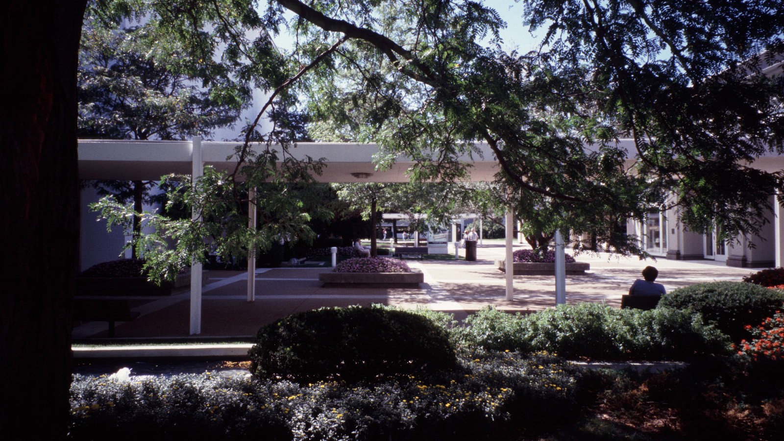 Oakbrook Center: Past, Present & Future of Oak Brook's iconic Mall