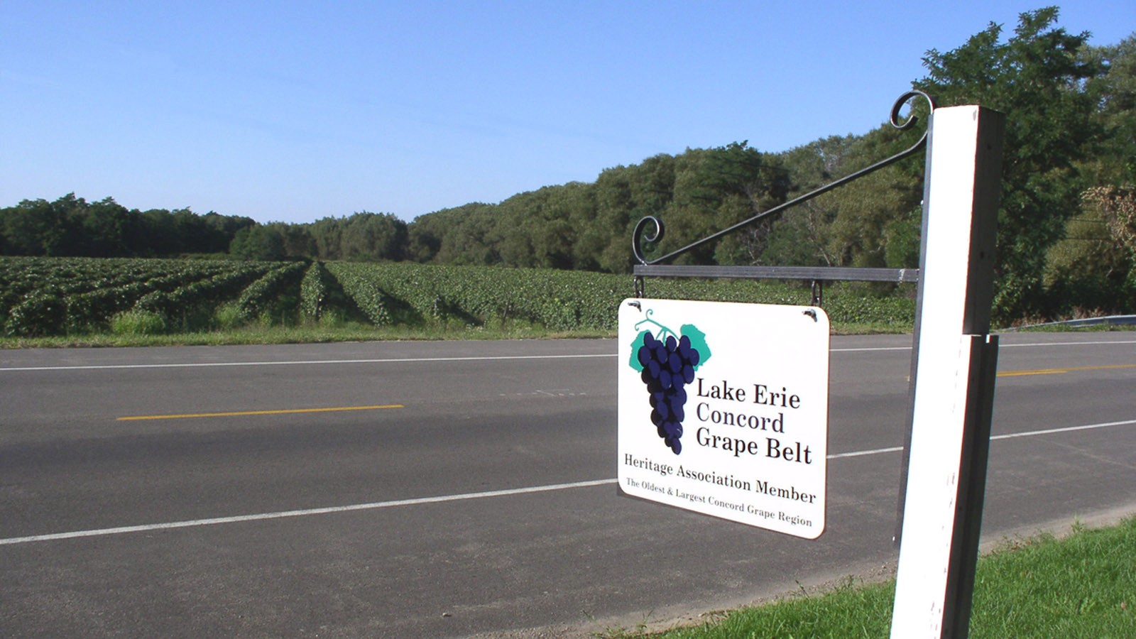 The Lake Erie Concord Grape Belt, Chautaqua County, NY. A sign across the street from a vineyard proudly proclaims a grower's membership in the Lake Erie Concord Grape Belt Heritage Association - Photo courtesy Duncan Hilchey