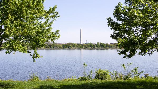 Lady Bird Johnson Park | The Cultural Landscape Foundation