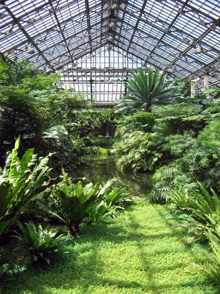 Garfield Park Conservatory | The Cultural Landscape Foundation