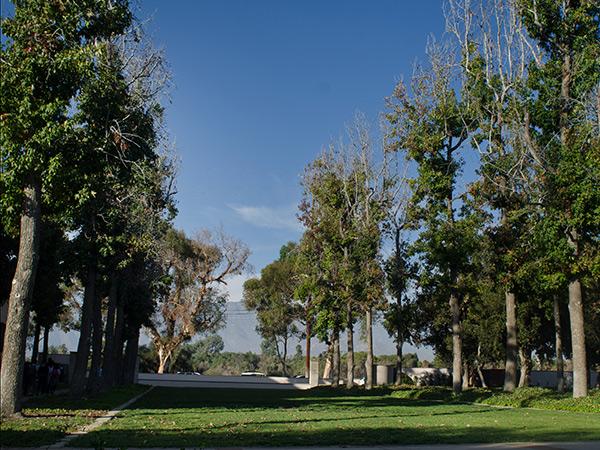 Harvey Mudd College The Cultural Landscape Foundation