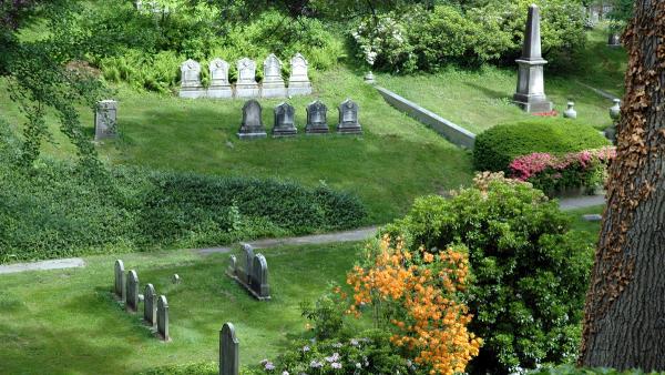Tours Of Mt Auburn Cemetery Tours Of Mt Auburn Cemetery