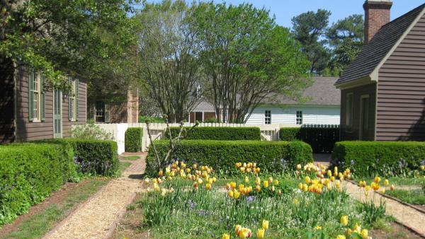 dating in williamsburg va