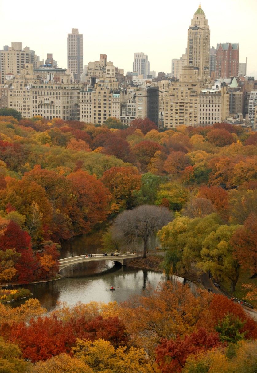 The Big Task of Managing Nature at New York's Central Park | TCLF