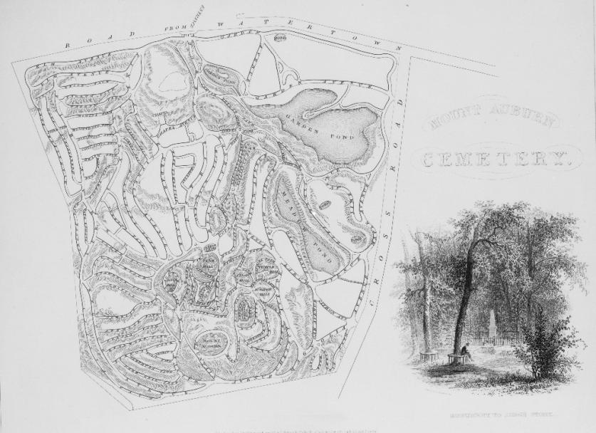 Map of Mount Auburn Cemetery illustrating the curvilinear circulation system and natural features.