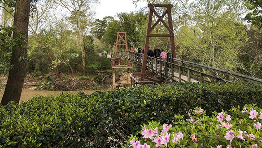 Bayou Bend, Houston, TX