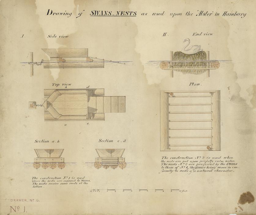 Designs for swans’ nests, ca. 1860.