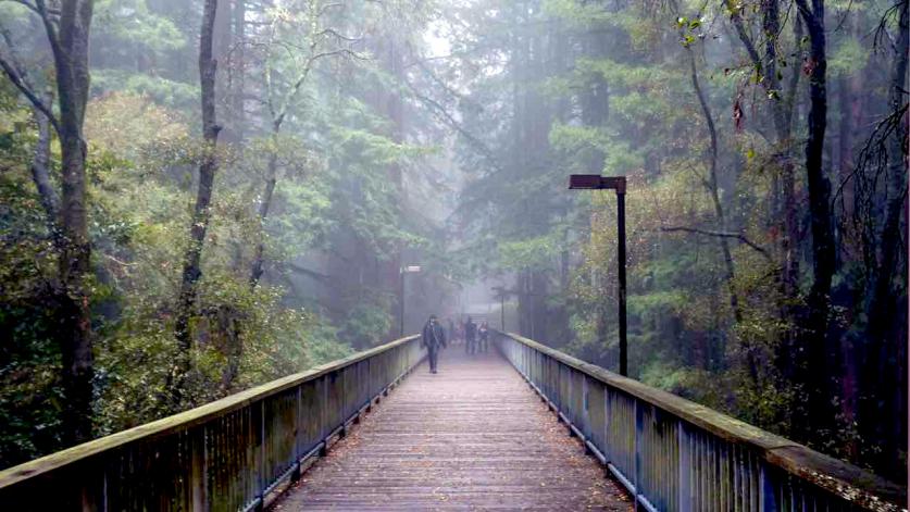 U.C. Santa Cruz Set to Develop Its East Meadow  The Cultural Landscape 